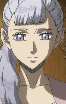 Acier Silva from Black Clover