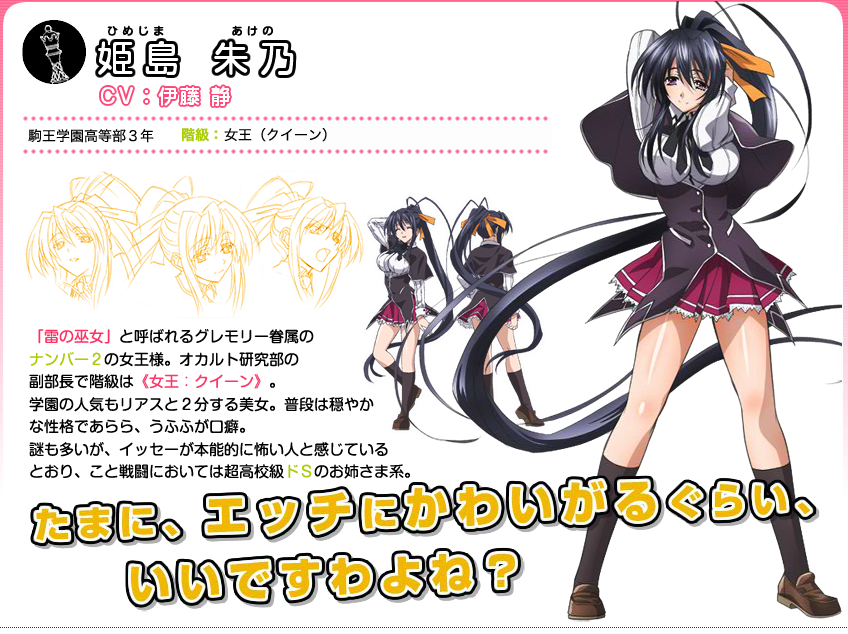 Akeno Himejima from High School DxD