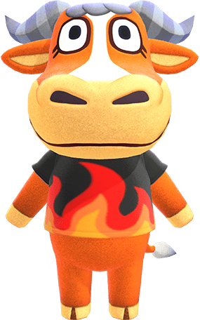 Angus