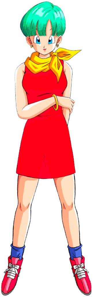 Bulma Briefs (adult)