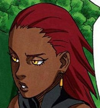 Karui Akimichi