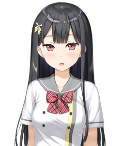 Rein Kokuhou