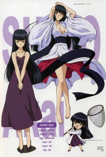 Shino Akai