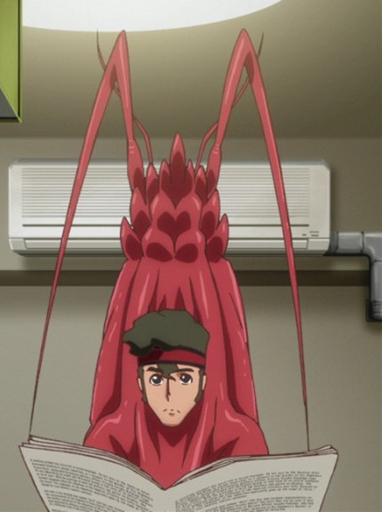 Shrimp