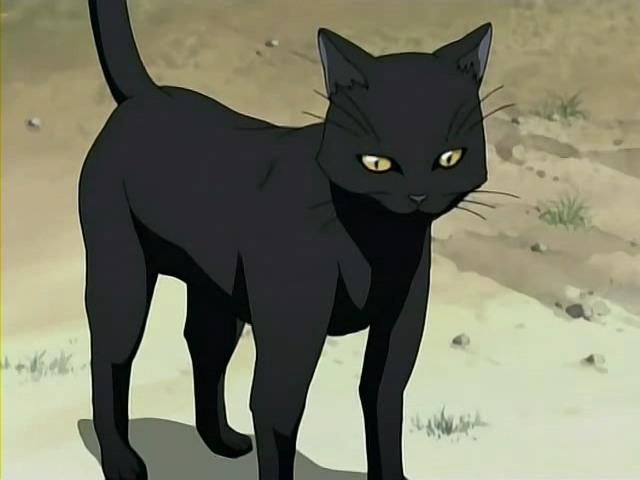 Yoruichi Shihouin (cat form)